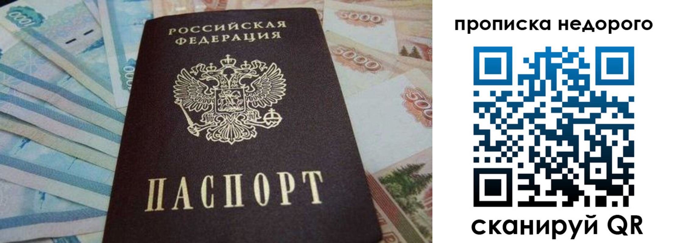временная регистрация поиск в Шатуре